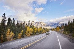 jasper inn & suites Ice Fields Parkway – Highway 93