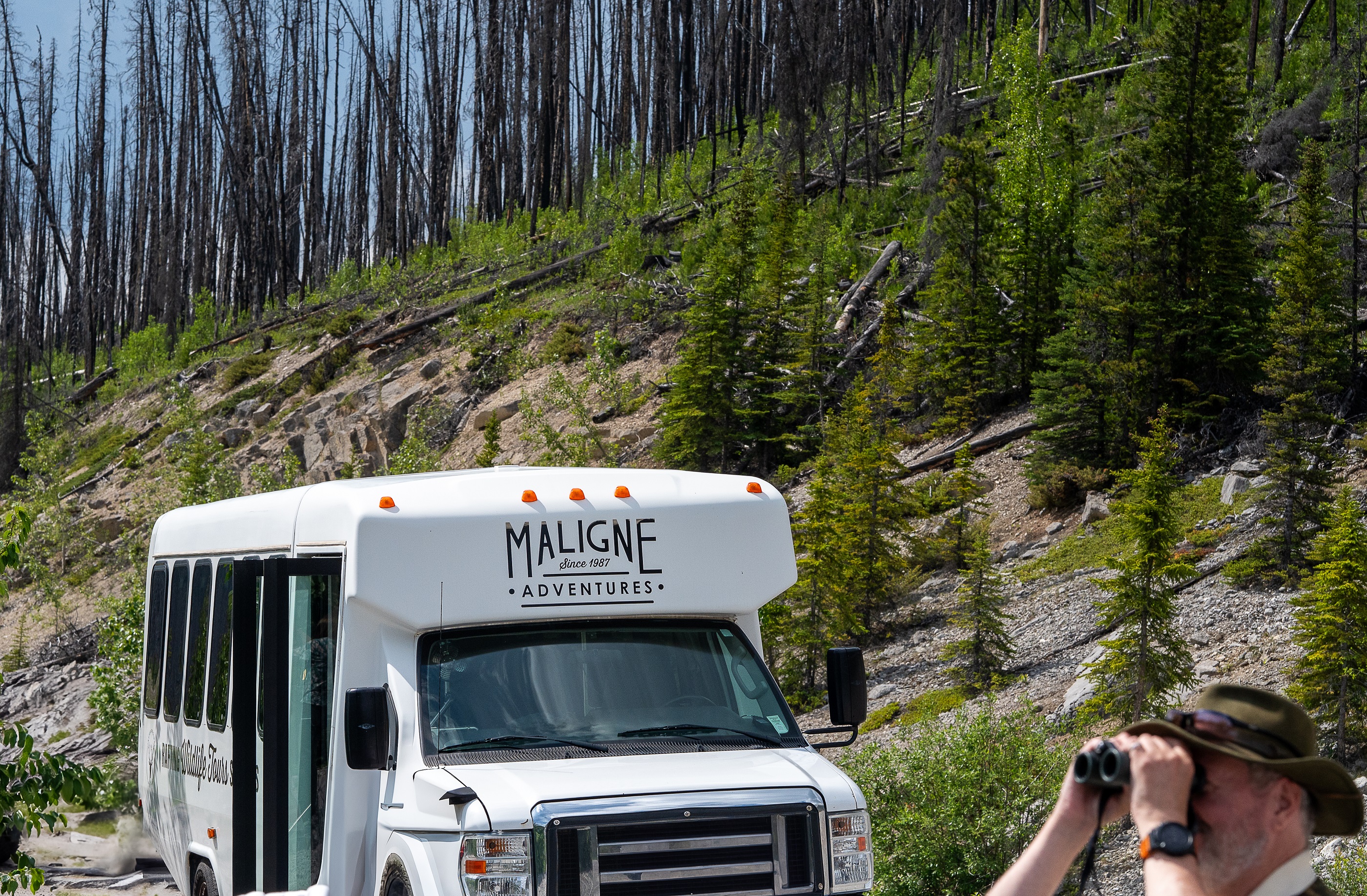 jasper inn & suites Maligne Adventures